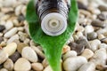 Small bottle of essential oil. Bottle and stone background with water drops. Royalty Free Stock Photo