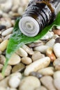 Small bottle of essential oil. Bottle and stone background with water drops. Royalty Free Stock Photo