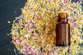 Small bottle with essential oil and dry herbs and flowers. Background with colorful dried flowers petals. Aromatherapy and spa Royalty Free Stock Photo