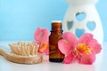 Small bottle with essential oil tincture, infusion, perfume and wooden hairbrush. Red flowers close up. Aromatherapy and spa Royalty Free Stock Photo