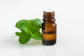 Small bottle with essential peppermint oil. Fresh rmint leaves close up. Aromatherapy, spa and herbal medicine ingredients.