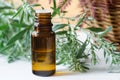 Small bottle with essential wormwood oil extract, tincture, infusion. Aromatherapy, spa and herbal medicine concept. Royalty Free Stock Photo