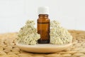 Small bottle with essential yarrow oil. Aromatherapy, homemade spa and herbal medicine