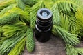 Small bottles of coniferous essential oil and green spruce tips on wooden background with copy space. Royalty Free Stock Photo