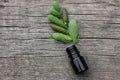 Small bottles of coniferous essential oil and green spruce tips on wooden background with copy space. Royalty Free Stock Photo