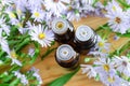 Small bottles of essential aroma oil (herbal extract, tincture, infusion). Close up, top view, copy space. Royalty Free Stock Photo