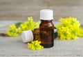 Small bottles of natural essential oil herbal or flowers extract, tincture, perfume