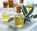 Small bottles of sage oil Royalty Free Stock Photo