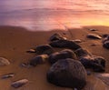 Small Boulders on Olowalu Beach at Sunset