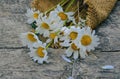 A small bouquet of daisies on a wooden surface background, retro style, floral background and wooden texture Royalty Free Stock Photo