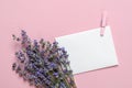 Small bouquet of fragrant blooming lavender near a blank sheet of white paper for notes over a textural pink background. Summer