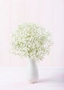 Small bouquet of Gypsophila flowers in porcelain white vase against a light pale pink wooden background. Selective focus