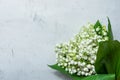 Small Bouquet of Lily of the Valley Flowers with Green Leaves on Grey Stone Concrete Cement Metal Background. Wedding Birthday