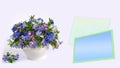 A small bouquet of spring flowers in a ceramic pot and a frame for text, on a light background Royalty Free Stock Photo