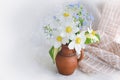 A small bouquet of anemones and forget-me-nots in a clay vase on a light background Royalty Free Stock Photo