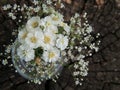 Small bouquet of white summer flowers tied with twine in glass jar on wooden background. Royalty Free Stock Photo