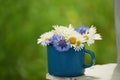 A small bouquet with wild flowers, daisies and cornflowers in a vintage mug . Royalty Free Stock Photo