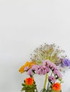 Small bouquet of wild spring flowers against a white background Royalty Free Stock Photo