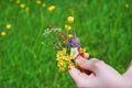 A small bouquet of wildflowers in a child's hand