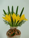 Small bouquet of yellow autumn crocuses sternbergia lutea, lily-of-the-field, fall daffodil, winter daffodil with leaves and bra