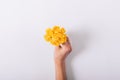 Small bouquet of yellow flowers in a female hand Royalty Free Stock Photo