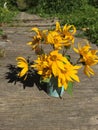 Small bouquet of yellow Jerusalem artichoke flowers