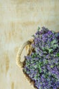 Small Bouquets Bundles of Tied Blooming Fresh Thyme Blue Flowers in Wicker Basket on Wood Table. Rural Kitchen Garden Provence Royalty Free Stock Photo