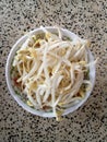 A small bowl of beansprout
