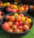 Small bowl of colorful Cherry tomatoes Royalty Free Stock Photo