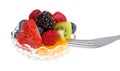 Small bowl of fruit with a fork Royalty Free Stock Photo