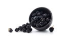 Small bowl full of fresh organic blackberries Royalty Free Stock Photo