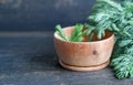 Small bowl made of juniper wood with juniper branches Royalty Free Stock Photo