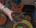 Small bowl of roasted mopane caterpillar, Gonimbrasia belina at the market in livingstone, zambia Royalty Free Stock Photo