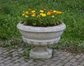 Small bowl-shaped concrete portable flower bed with yellow flowers stands on the paving slabs near the lawn Royalty Free Stock Photo