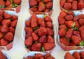 Small boxes of fresh strawberries on sale in the Cours Saleya Market in the old town of Nice, France Royalty Free Stock Photo