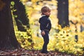 Small boy in autumn forest. Child play on fresh air outdoor. Little prince in fairy tale woods. Autumn vacation and Royalty Free Stock Photo