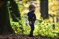 Small boy in autumn forest. Child play on fresh air outdoor. Little prince in fairy tale woods. Autumn vacation and Royalty Free Stock Photo