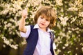 Small boy at blossoming spring tree. happy kid has lush healthy hair. summer and spring fashion. child enjoy blooming