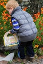 Small boy collecting easter eggs Royalty Free Stock Photo