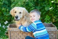 Small boy and cute dog in basket Royalty Free Stock Photo