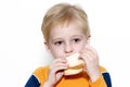 Small boy eating healthy sandwich Royalty Free Stock Photo