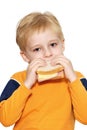 Small boy eating healthy sandwich Royalty Free Stock Photo