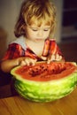 Small boy eating red watermelon Royalty Free Stock Photo