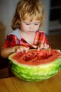 Small boy eating red watermelon Royalty Free Stock Photo