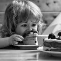 Small boy eats strawberry cake Royalty Free Stock Photo