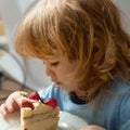 Small boy eats strawberry cake Royalty Free Stock Photo