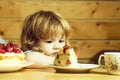 Small boy eats strawberry cake Royalty Free Stock Photo