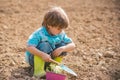 Small boy enjoy childhood years on farm. Cute little farmer working with spud on spring field. Happy little farmer Royalty Free Stock Photo