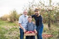 Small boy with father and grandfather standing in apple orchard in autumn.