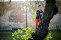 A small boy having fun climbing up on the tree in the park Royalty Free Stock Photo